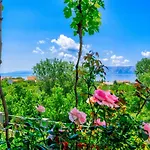 Apartman Katica Povile